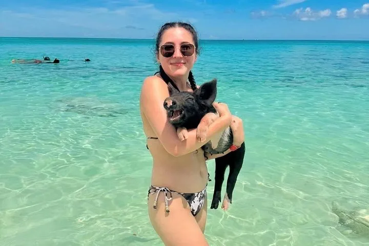 Pigs swimming in clear water off Rose Island on a Nassau pig beach tour, a shore excursion on a Bahamas cruise from Miami